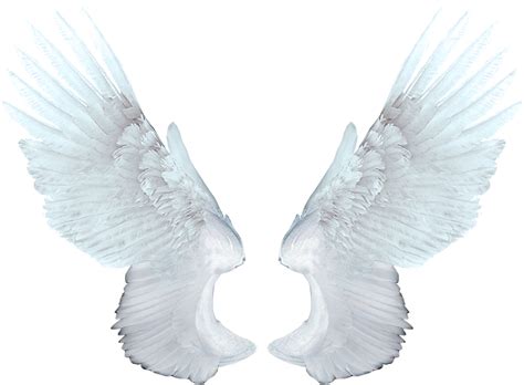 Gofood Logo Png - Logo Go Food Vector. . Angel wings png